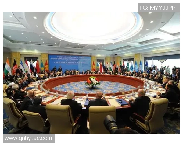 上海羽毛球队在杯赛中的团队协作表现分析与启示