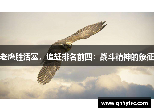 老鹰胜活塞，追赶排名前四：战斗精神的象征