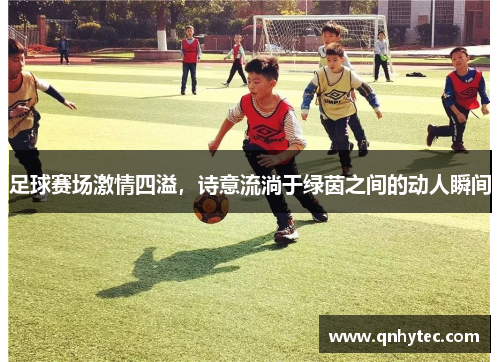 足球赛场激情四溢，诗意流淌于绿茵之间的动人瞬间
